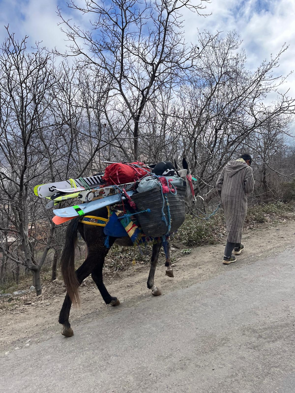  Ski touring across the snowy High Atlas Mountains from Imlil and Tachddirt towards Tizi Mizik, Likemt and bougnouan , Morocco.